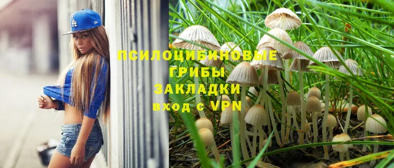 Галлюциногенные грибы Magic Shrooms  blacksprut ССЫЛКА  Киров 